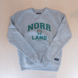 Sqrtn University Crewneck Heather Grey