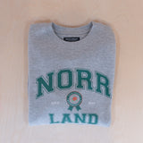 Sqrtn University Crewneck Heather Grey