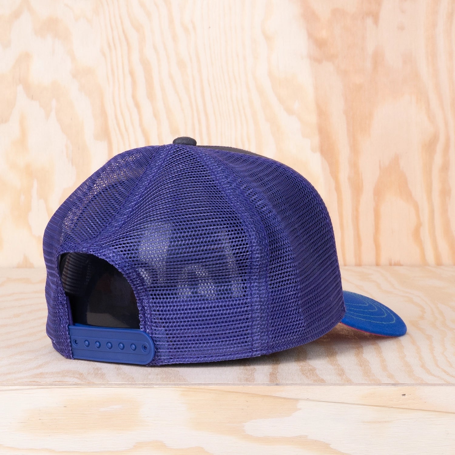 Stetson Rising High Trucker Cap Royal/Anthra