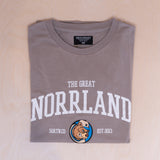 Sqrtn University T-shirt Cinder Grey