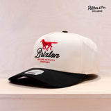 Brixton Patches Exclusive Leisure Activity A-frame Cap Black/white