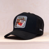 Capslab Looney Tunes Trucker Cap Taz Black