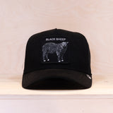 Goorin The Suede Sheep Black
