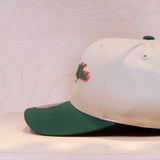 Mitchell & Ness Patches Exclusive Pinscript Pro Crown Cap Cream/Green