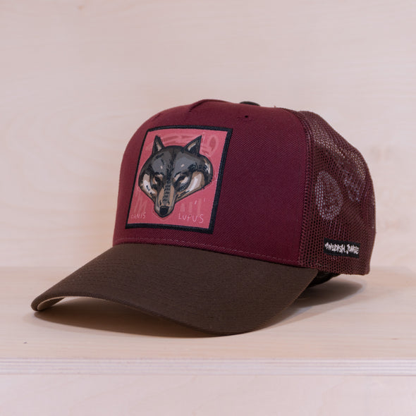 P&P Lupus Trucker Cap Maroon