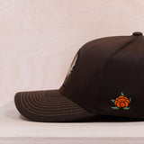 Sqrtn Älghorn 120 Cap Brown