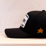 Sqrtn Collab 120 Cap Black