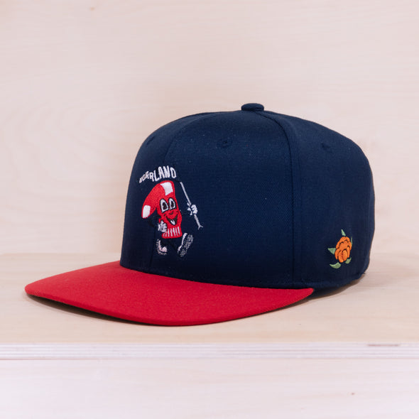 Sqrtn Raggsox Fitted Cap Navy/Red