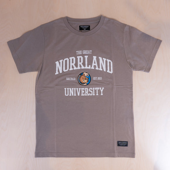 Sqrtn University T-shirt Cinder Grey